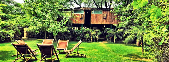 728/The Tree House & Water House Resort - Jaipur 06.jpg